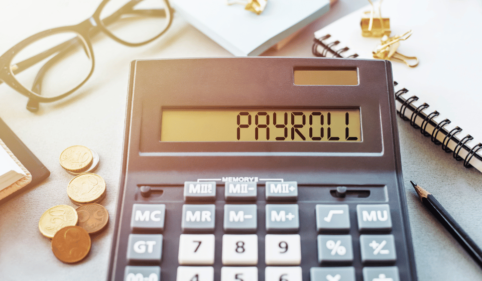 What is payroll system software?